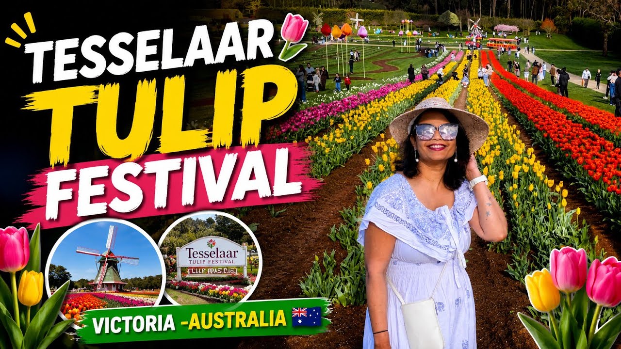 TESSELAAR TULIP FESTIVAL  - Dandenong Ranges - Victoria - Australia