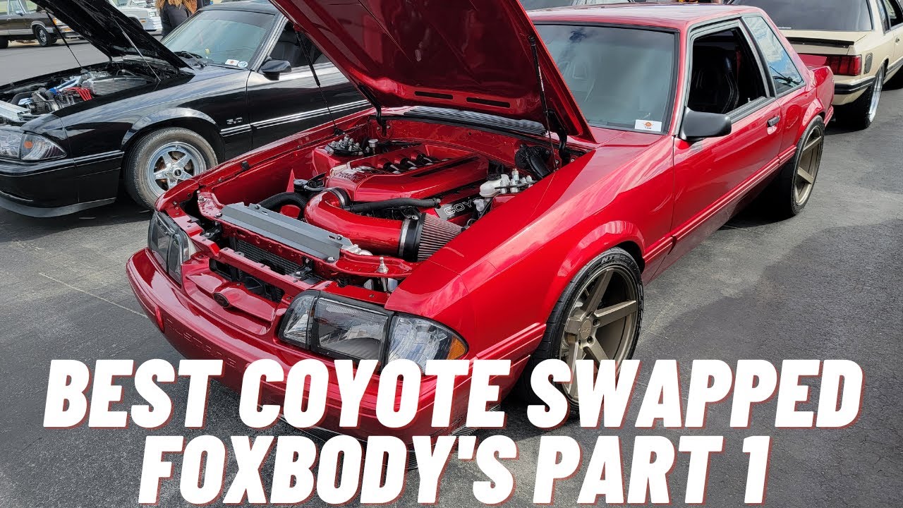 Best Coyote Swapped Foxbody's part 1