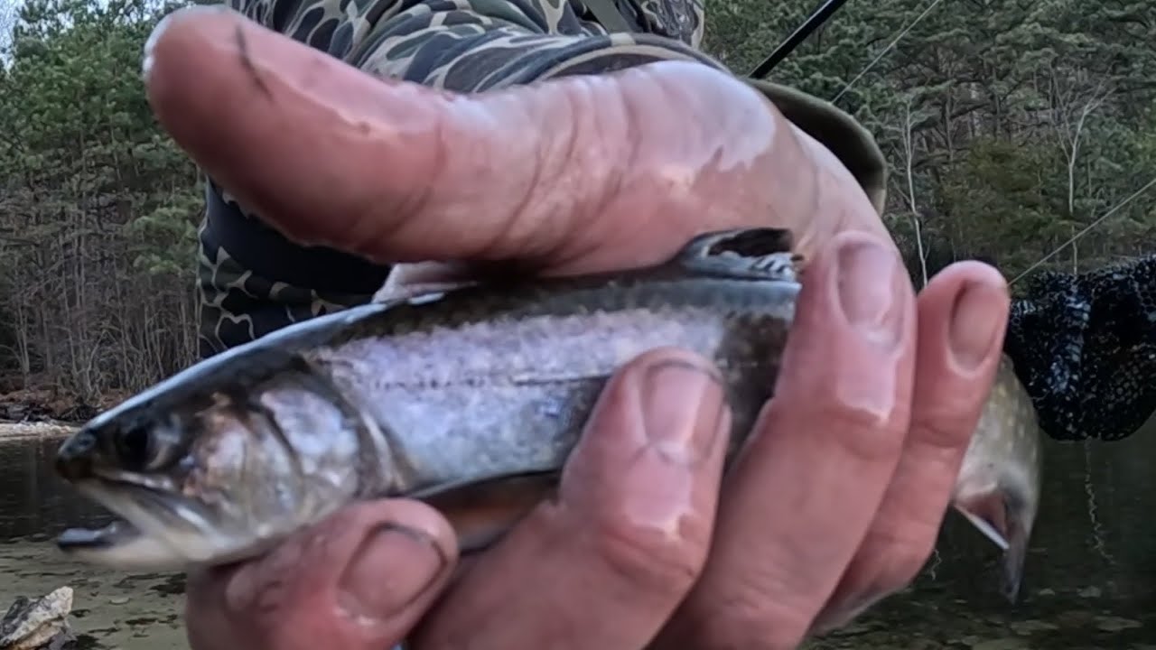 Catching Brook Trout in a Hidden Mountain Reservoir