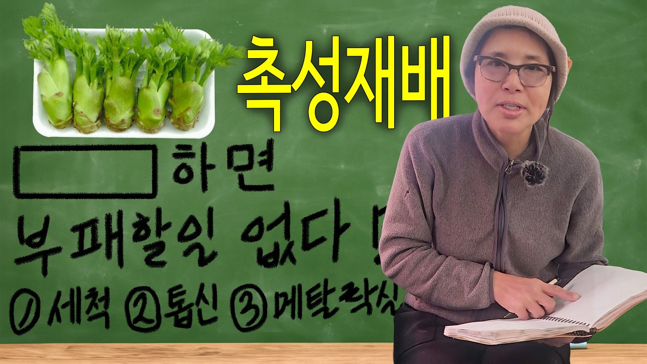 두릅 촉성재배 입문자가 꼭 알아야하는 5가지 // 칠판문제 정답을 댓글로 적어주세요🥰