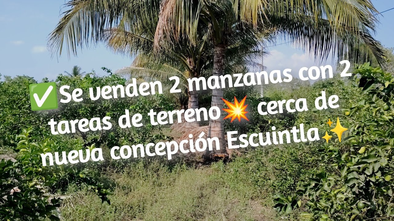 ✅Bonito terreno de 2 manzanas con 2 tareas💥 ubicadas cerca de nueva concepción Escuintla🇬🇹💥