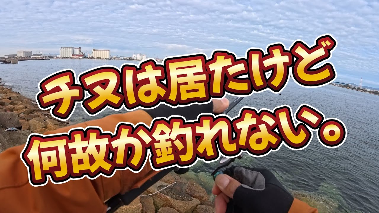 チヌは居たけど何故か釣れない。