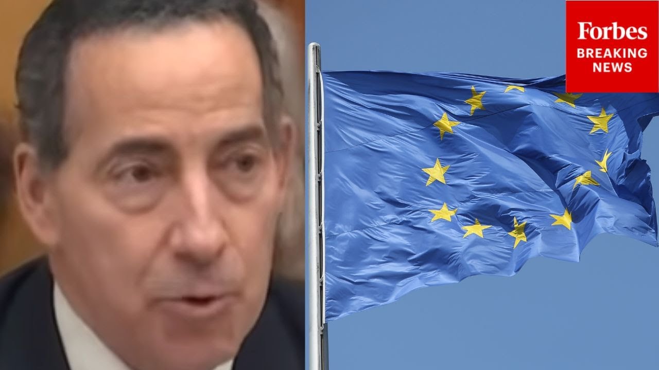 'We Can't Seem To Have A Hearing About ICE Agents Shooting Americans': Raskin Rips EU Speech Hearing