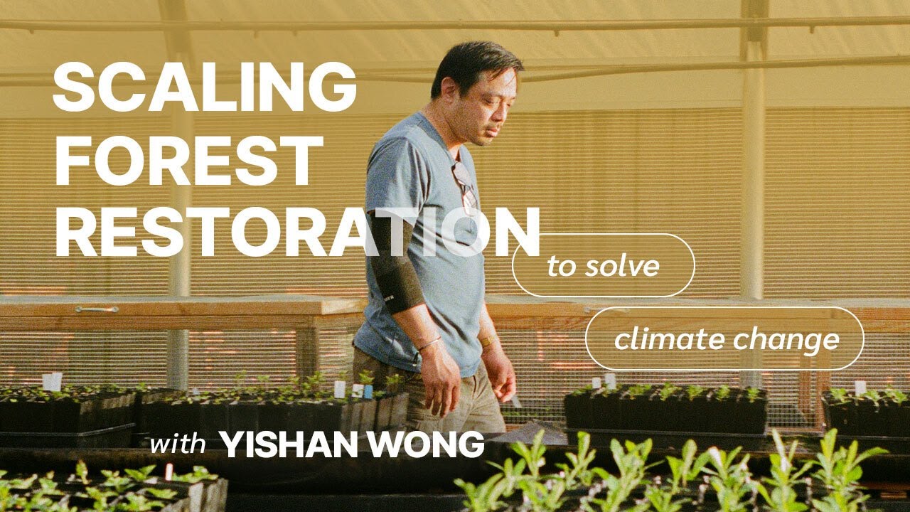 Scaling Forest Restoration to Solve Climate Change with Yishan Wong