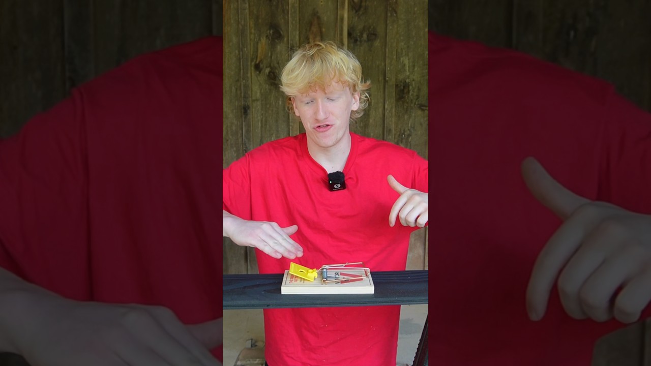 Can A Rat Trap Chop Off Your Finger?