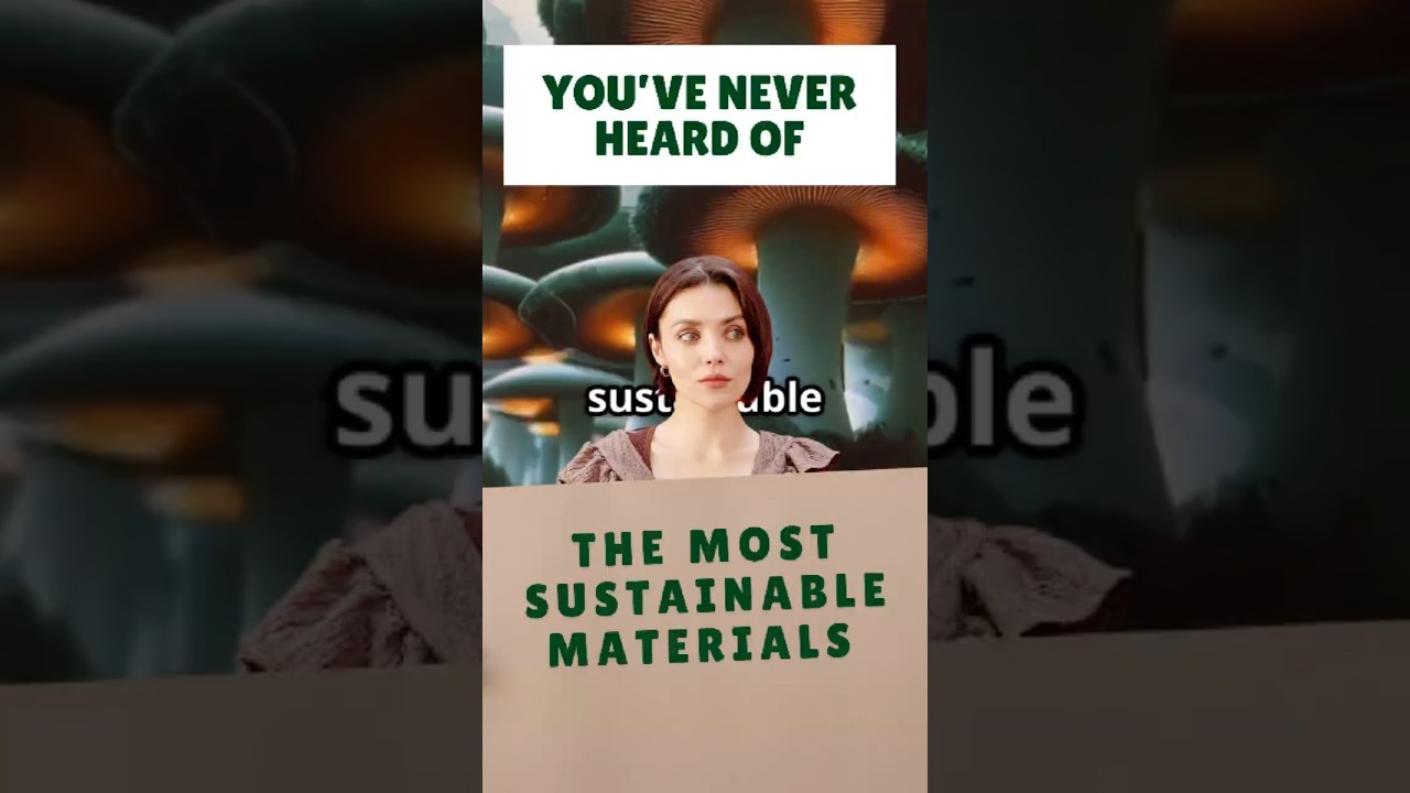 The Most Sustainable Materials You&rsquo;ve Never Heard  Of