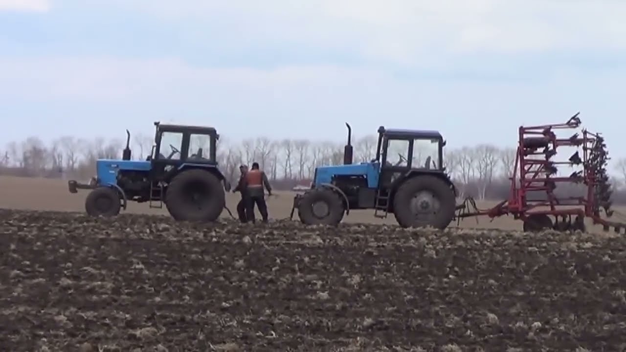 Культивация в два трактора Т-150К и один МТЗ-1221 с культиваторами КПС-8.