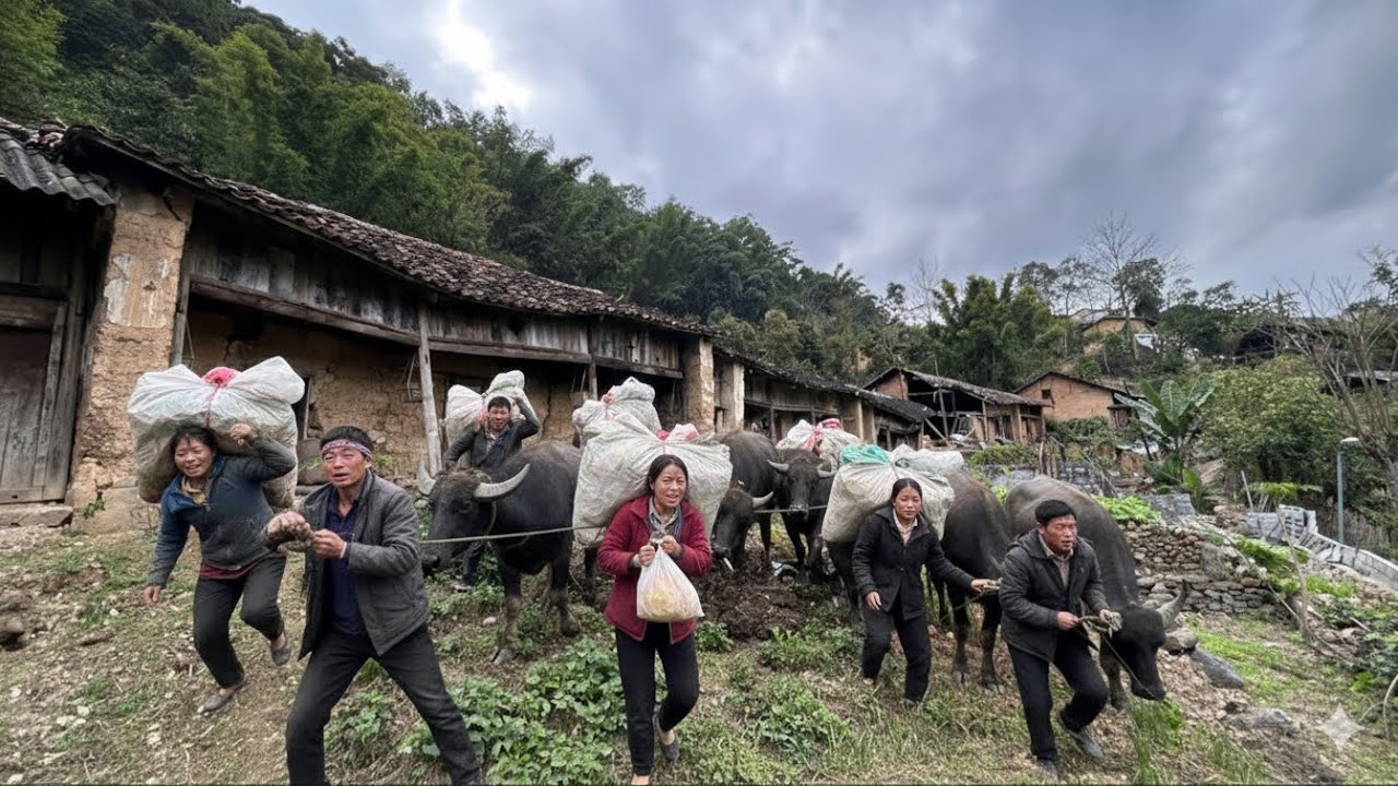 Life Left Behind in an Ancient Village on the China Border After a Landslide