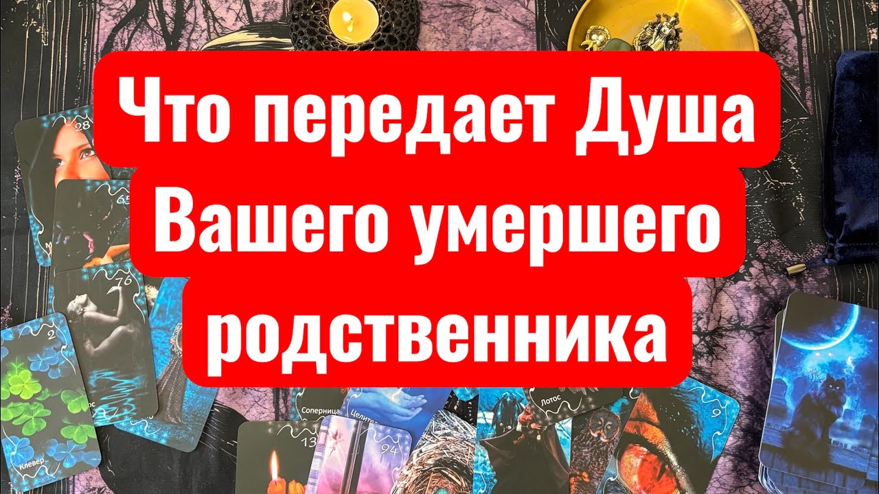 Сообщение от Души вашего близкого. Тайм коды в описании 👇