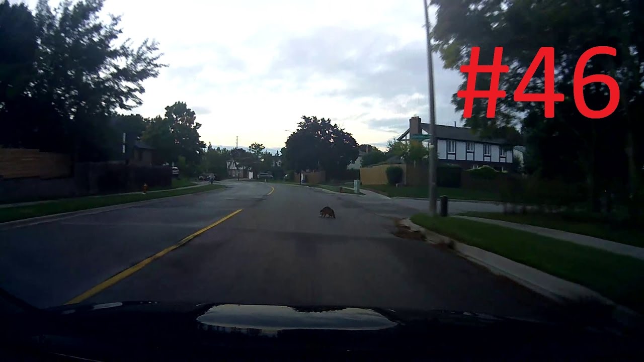 Bad Drivers of Greater Toronto Area and Southern Ontario: Compilation 46