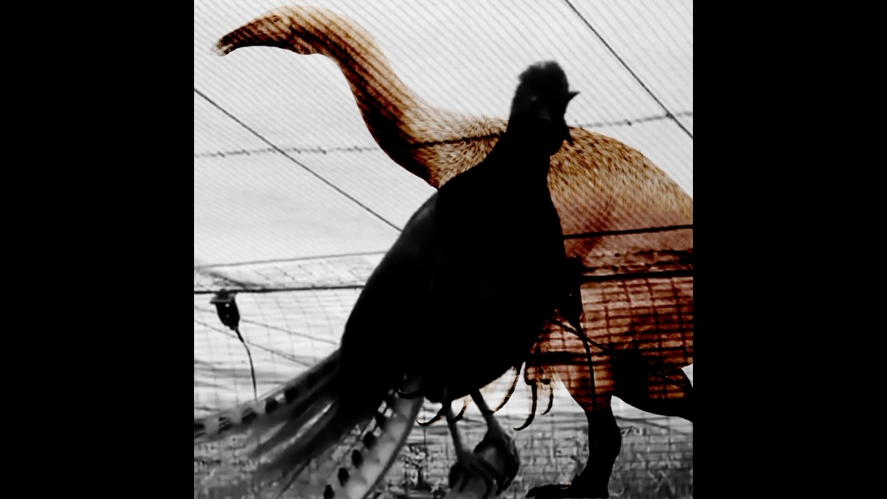 Moment before BIRDS 2☠️🔥 #dinosaur #jurassicworld #edit #paleo #fypシ゚