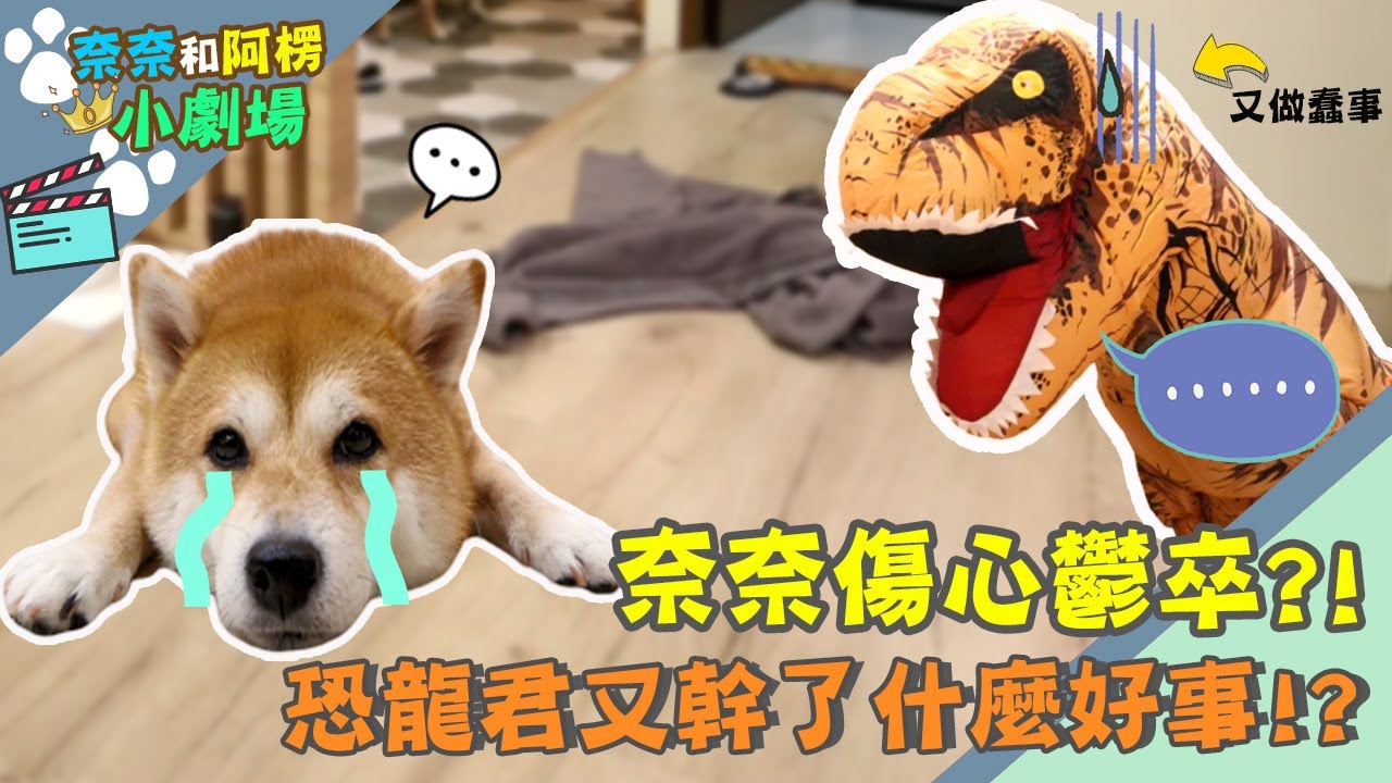 奈奈傷心鬱卒?恐龍君又做了什麼好事?! ft. LG 【奈奈阿楞小劇場】