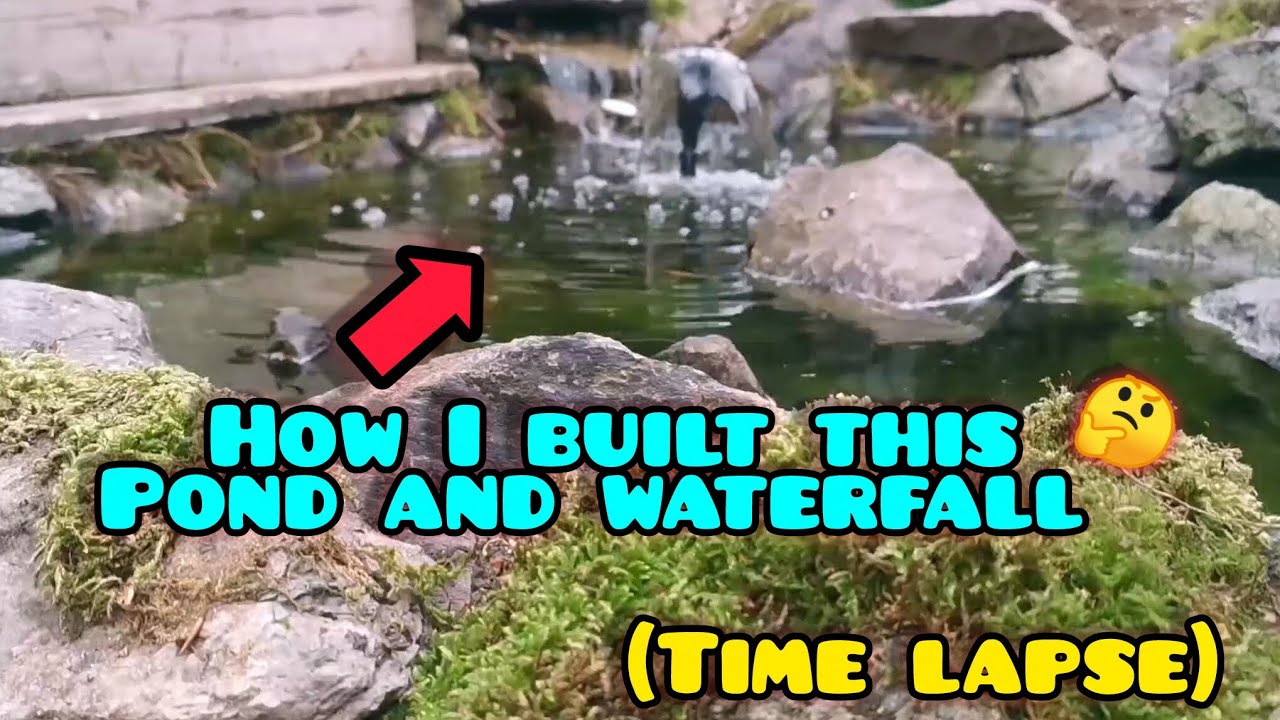 How To Build A Small Pond And Waterfall | DIY Wildlife Pond | Poposoap Full Pond Kit