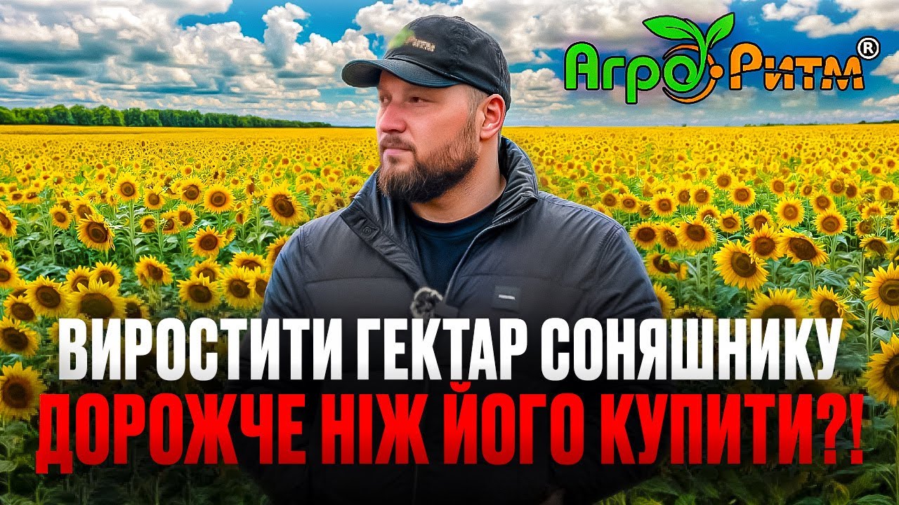 СКІЛЬКИ КОШТУВАТИМЕ ГЕКТАР СОНЯШНИКУ У 2026?ДОРОЖЧЕ ЧИМ САМ ГЕКТАР?РАХУЄМО КОЖЕН АГРОПРИЙОМ