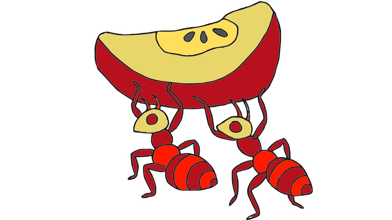 HOW TO DRAW ANTS EASY-LEARN TO DRAW STRONG ANT ANIMALS STEP BY STEP-DRAWING AND ART PIC