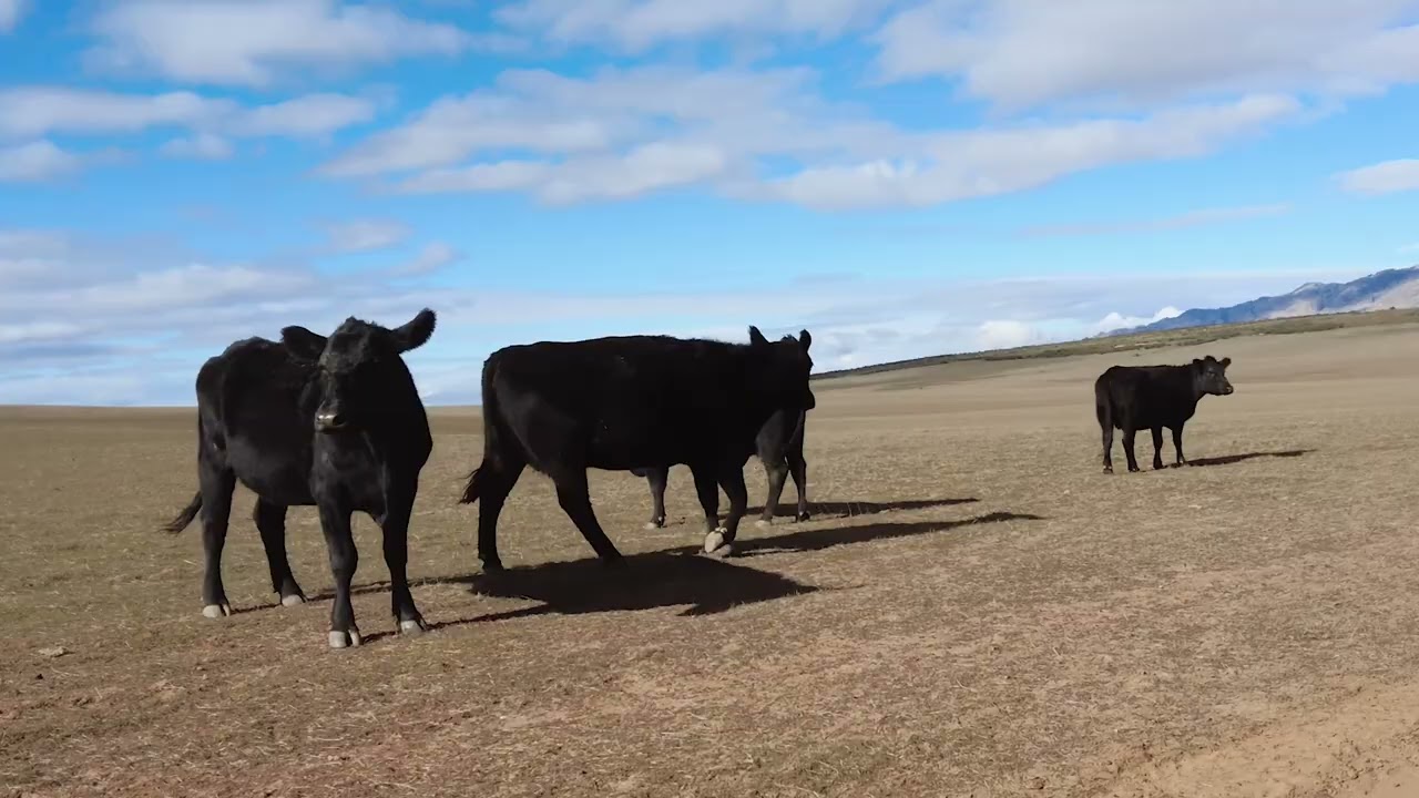 Ceres Farm Weekend  - Close to Cape Town - Going Places