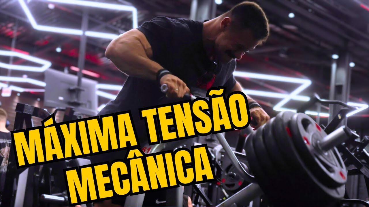 MEU TREINO DE COSTAS (completo na Ironberg)