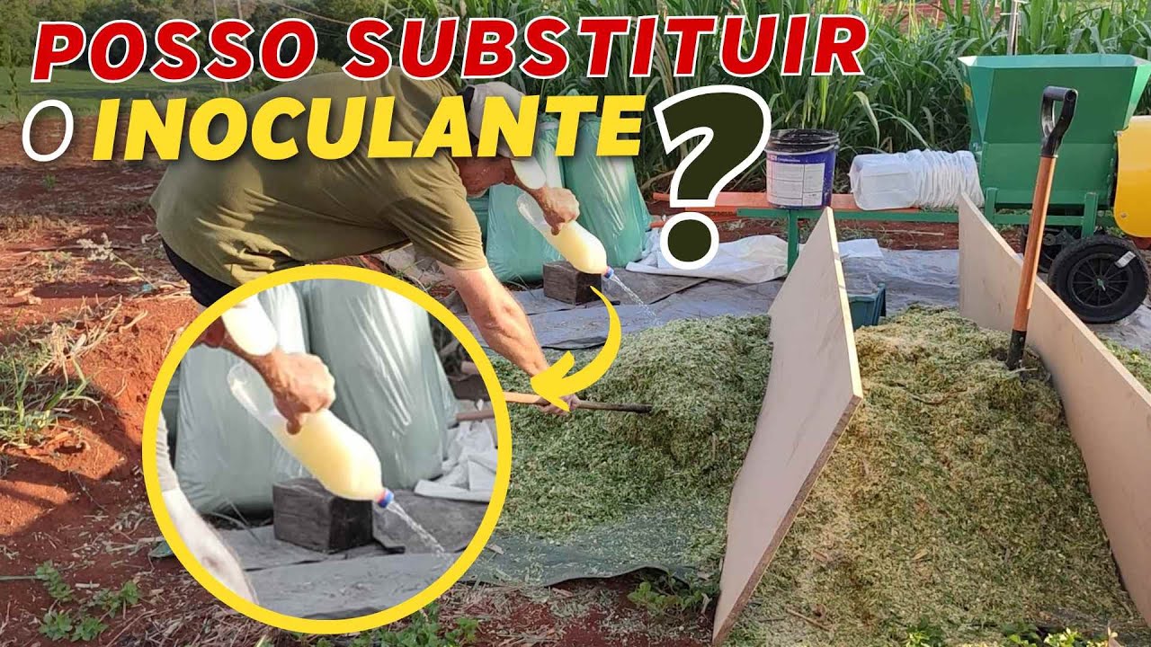 Quando preciso usar inoculante? | Perguntas e respostas