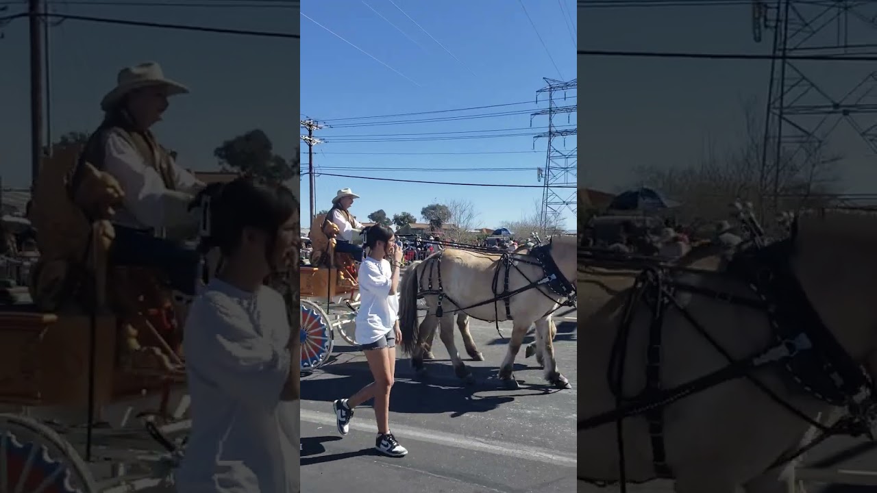 Lễ diễu hành La Fiesta de lo Vaqueros Tucson Rodeo lần 101