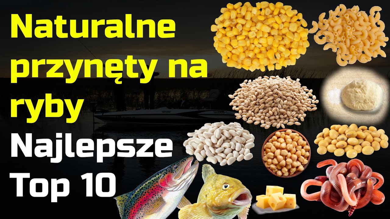 10 Najlepszych naturalnych przynęt na RYBY - kt&oacute;re warto wybrać