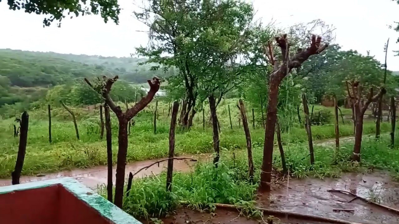 Mostrando dia  0303 2026 muita 🌧️☂️ no sítio Jucás ceara 
