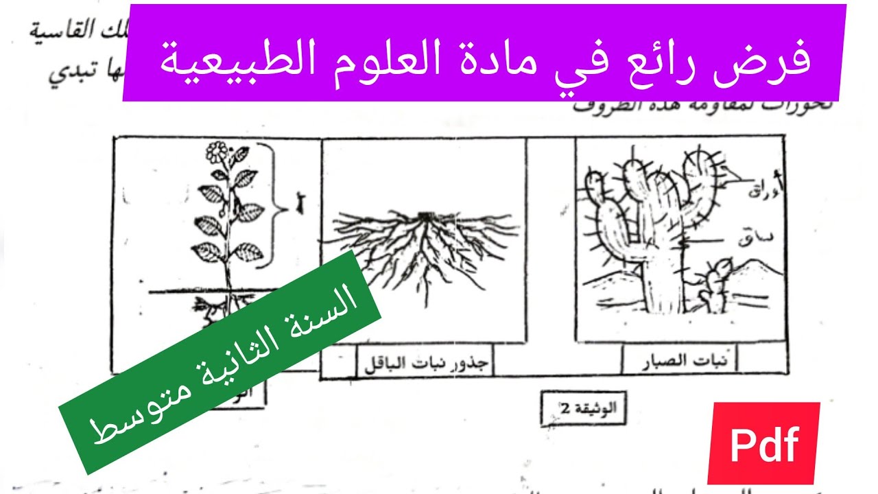 فرض الفصل الثاني في مادة العلوم الطبيعية السنة الثانية متوسط