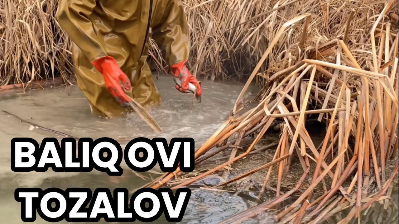 BALIQ OVI / РЫБАЛКА / FISHING #olloyor_mehmonaliyev #baliqovi  2-января 2025 г.