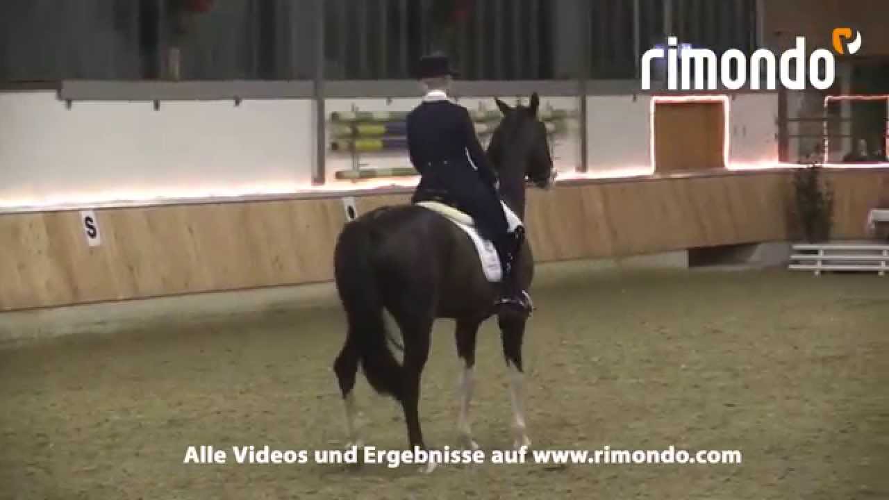 Callaho's Benicio Late Entry Südlohn 2015