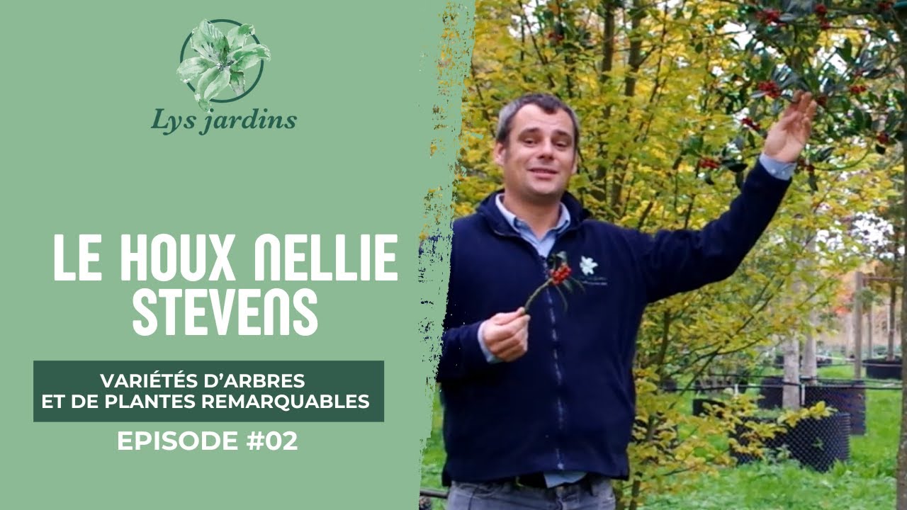 Le Houx Nellie Stevens