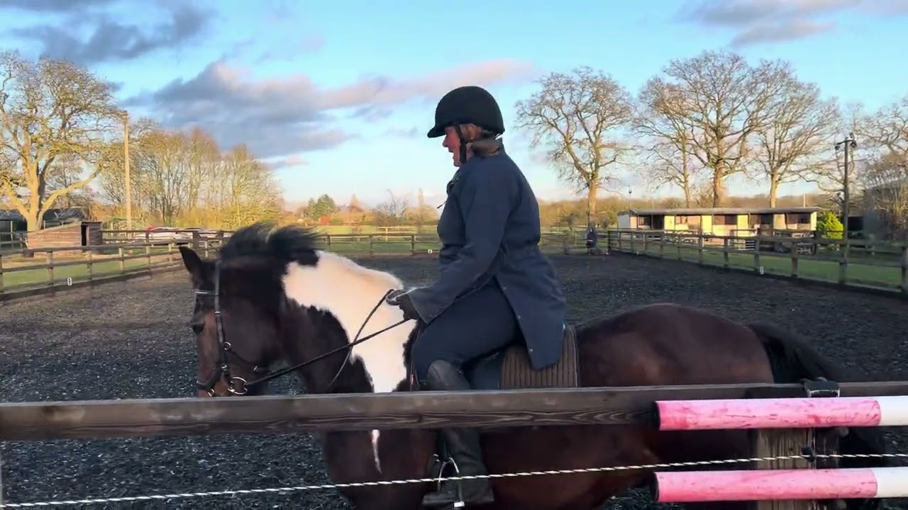 Jill Baldwin & Monty - DO Intro test 1
