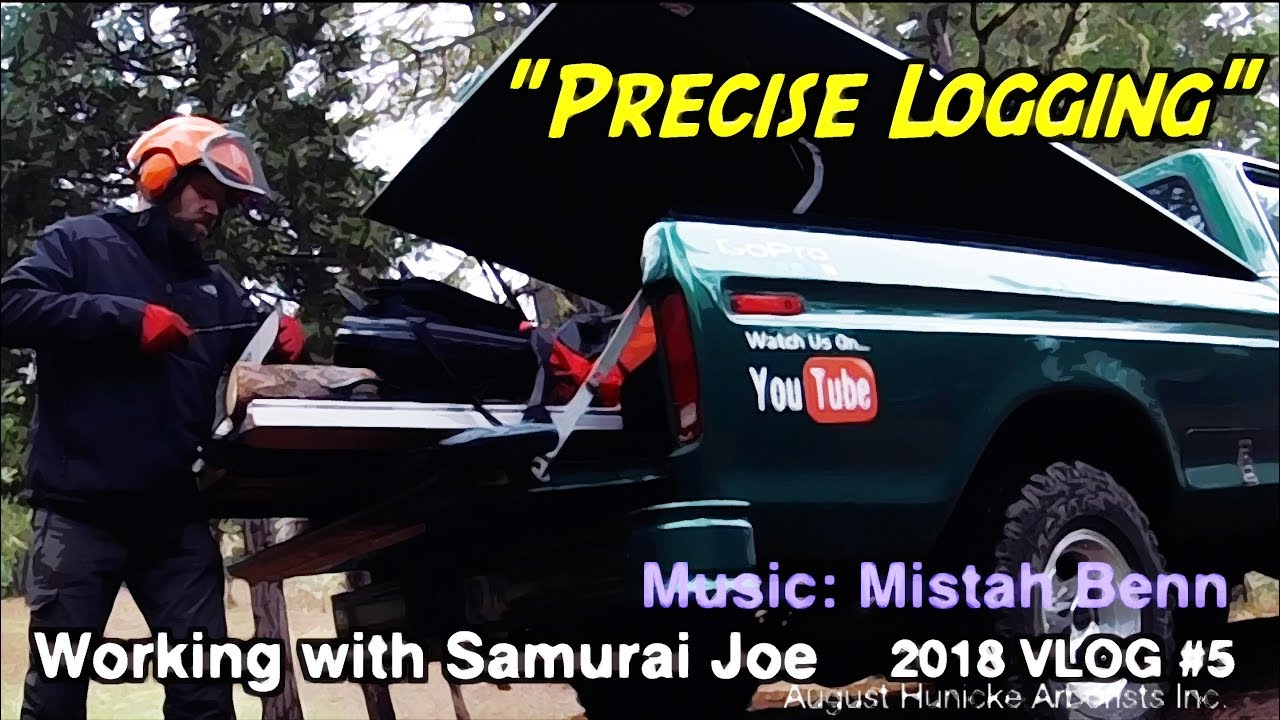 Precise Logging