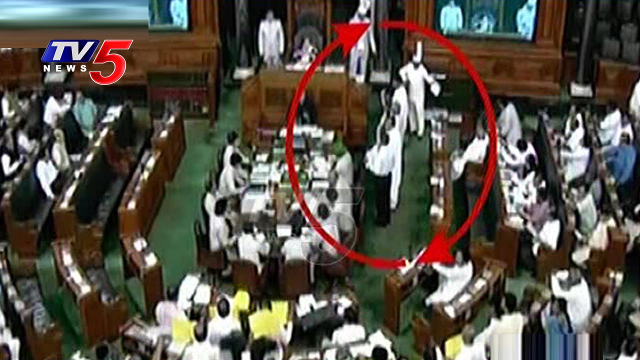 AP YSRCP & TDP MPs Rushed Into Well in Parliament | AP Special Status | TV5 News