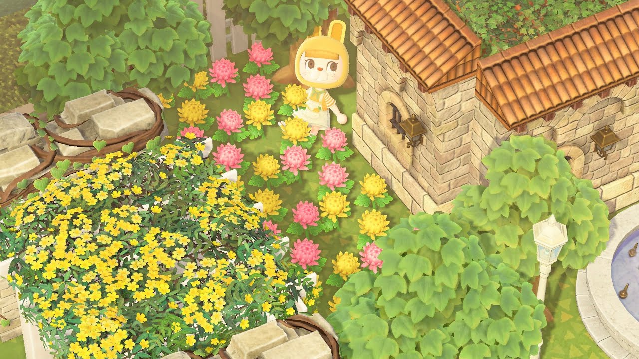 夢島 出入口クリエイト 🌷