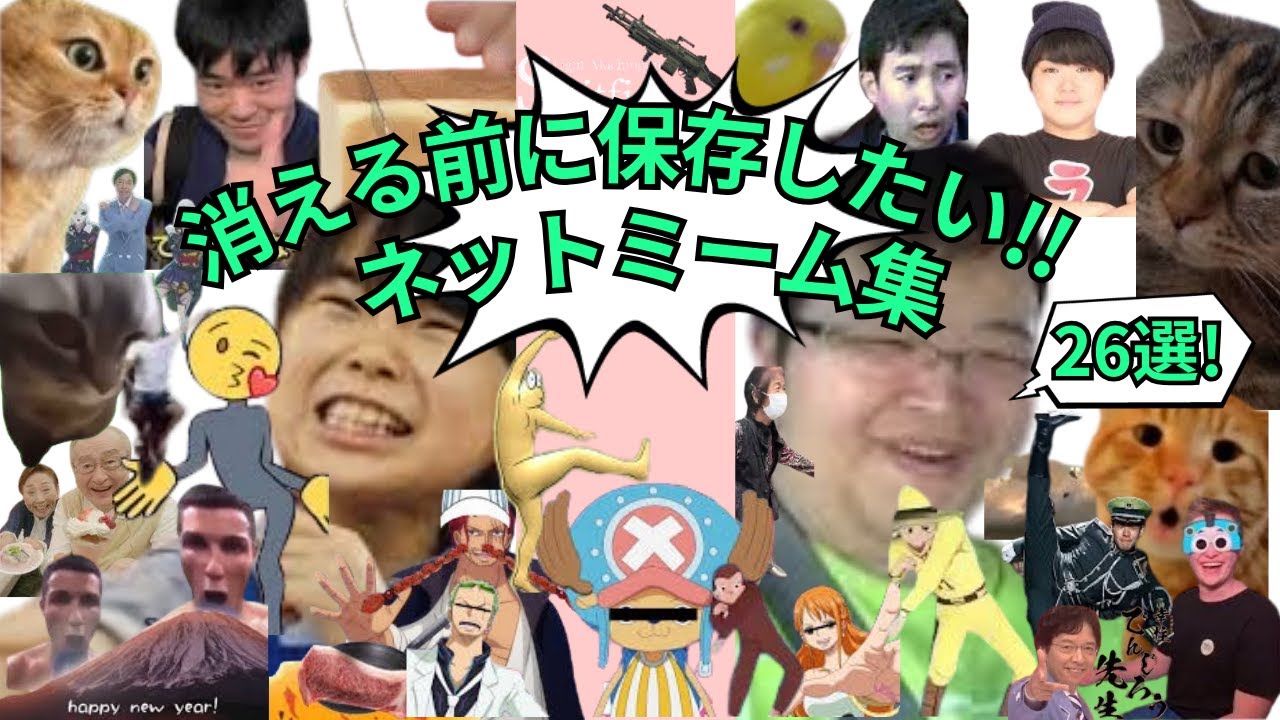 【ﾈｯﾄﾐｰﾑまとめ】消える前に保存したいﾈｯﾄﾐｰﾑ集!! 26選!