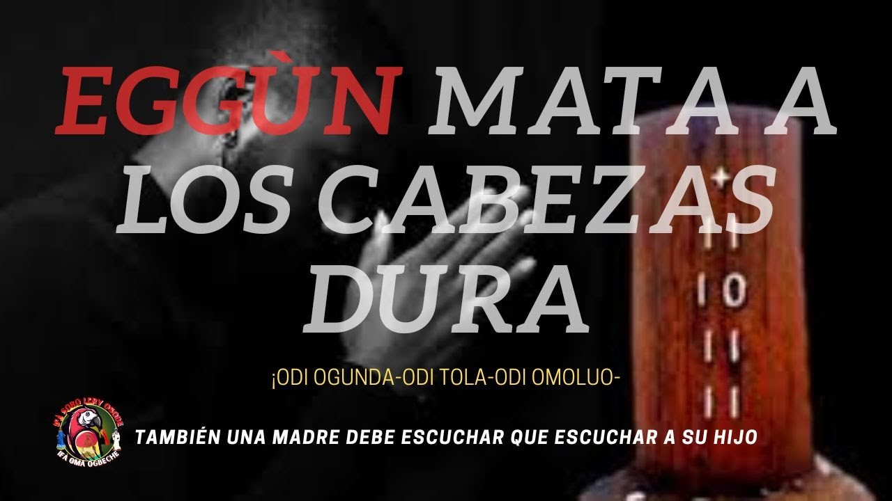 !EGGÙN LA MATÓ POR NO ESCUCHAR A SU HIJO.¡ ODI OGUNDA 7-3🙏🦜