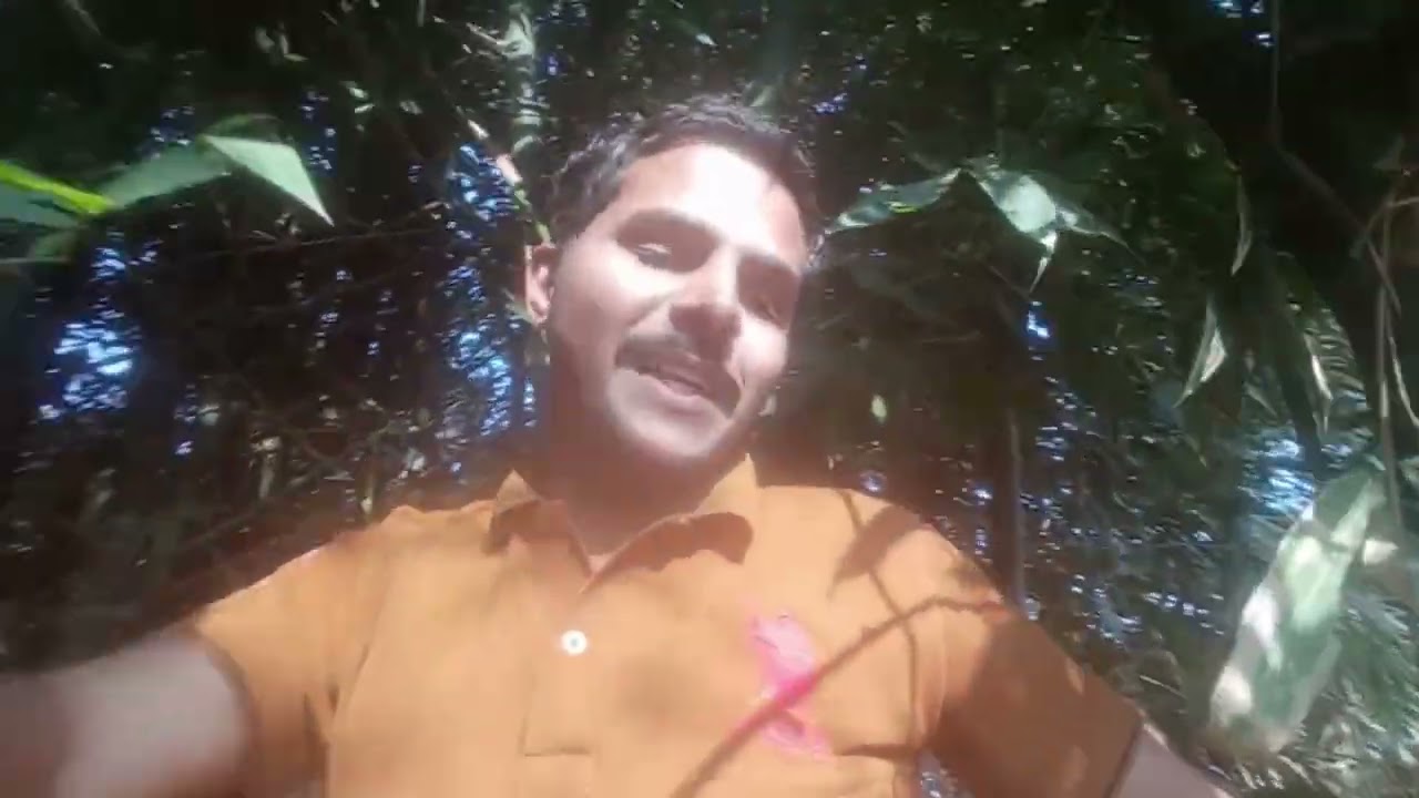 Papa ki daat, khet me seedhi ke liye baas katne, cutting bamboo in the field. ।। Navneet 2.0 ।। 