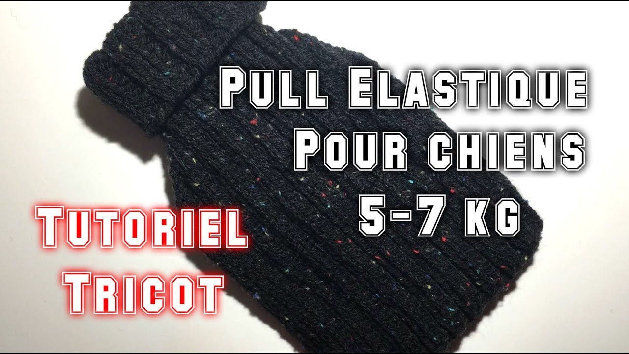 Tutoriel Tricot: Pull Elastique Pour Chiens de 5 à 7 kg (taille 8) DIY