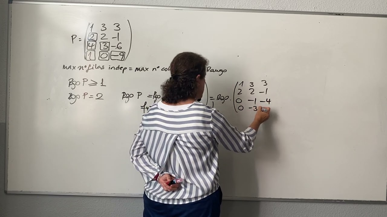 Rango por Gauss de matriz 4x3