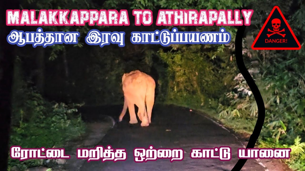 Dangerous Night Forest Bus Journey Malakkappara to Athirapally | Jolly trip
