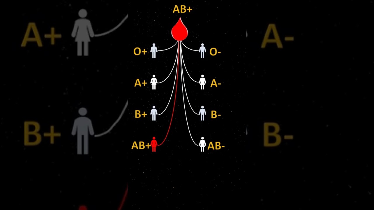 Which blood group is for whom? |Blood Transfusion| #educational #bloodtransfusion #sciencefacts