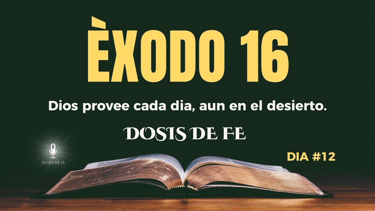 📖 DOSIS DIARIA DE FE – DÍA 12📍 Basada en Éxodo 16🕊️ Dios provee cada día, aun en el desierto