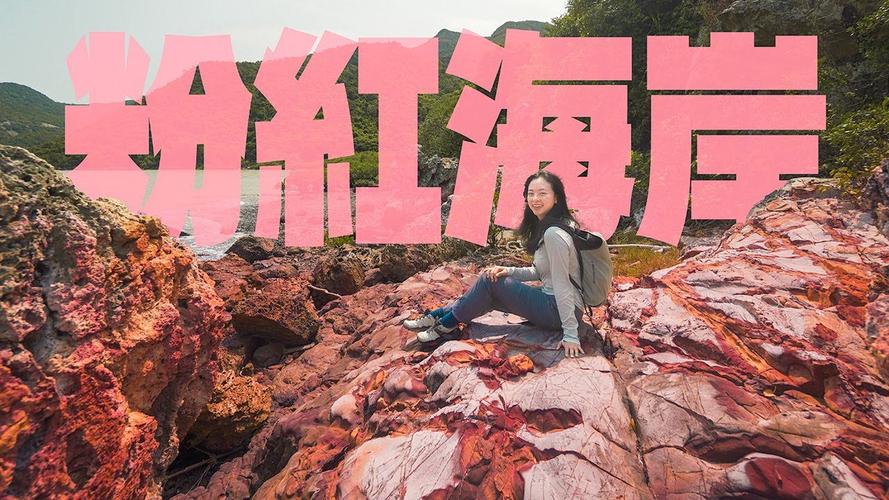嫌東澳古道太長？這條村是香港名稱的來源？有藍血的活化石？｜把港古廟、䃟石灣、粉紅海岸、嶼北界碑｜香港行山好去處