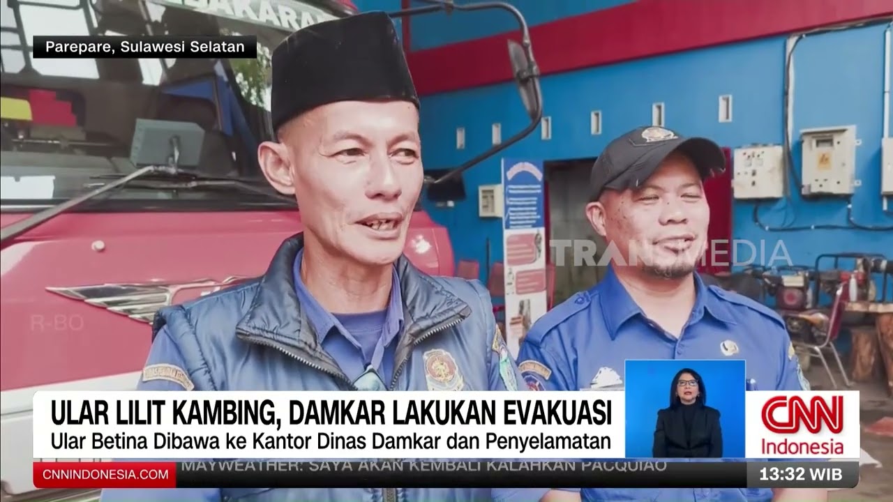 Ular Lilit Kambing, Damkar Lakukan Evakuasi | REDAKSI (24/02/26)