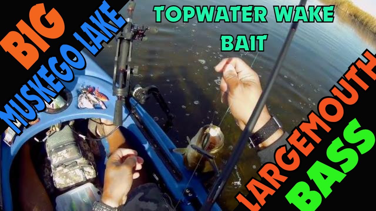 Kayak Fishing for Largemouth Bass fishing on Big Muskego Lake Using Wakebaits