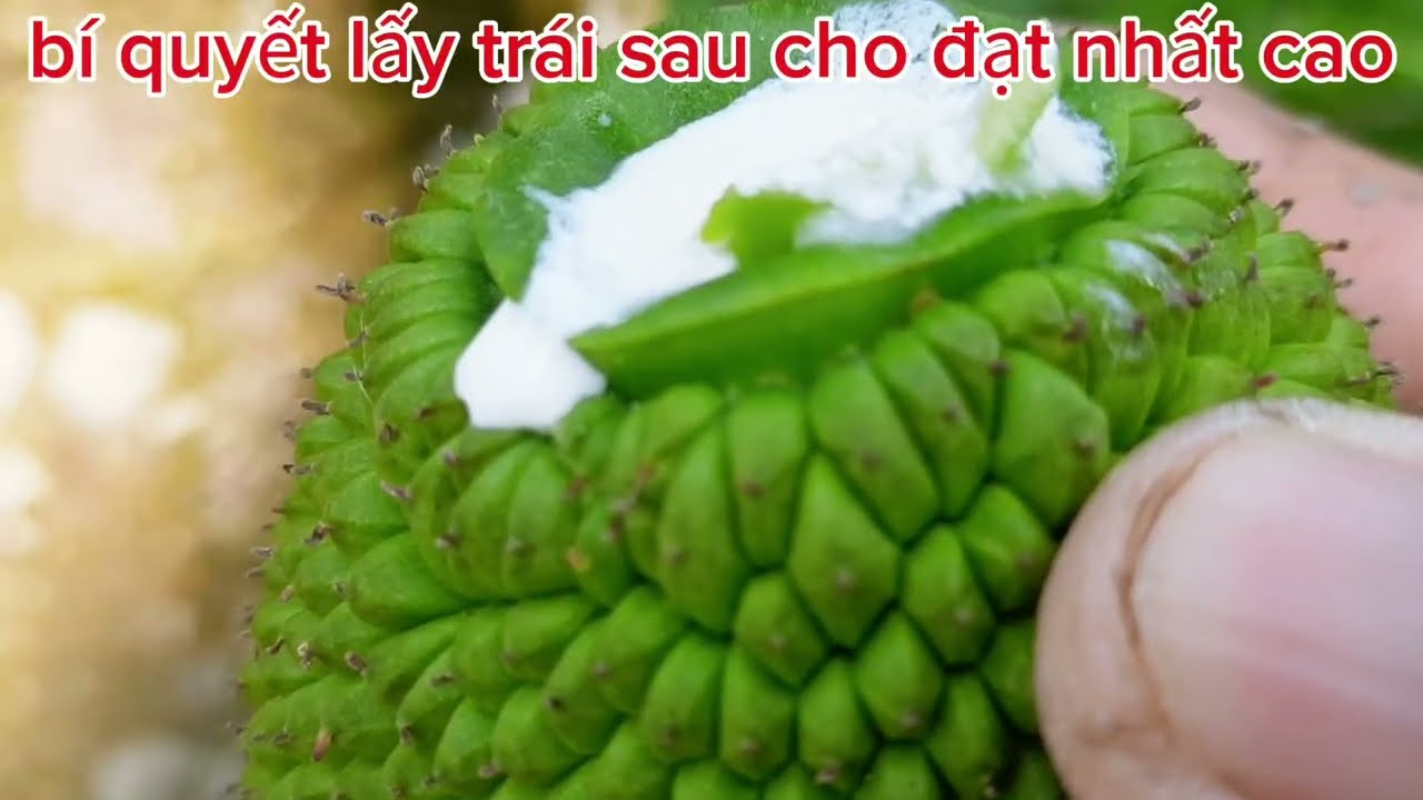  CÓ ĐƯỢC NHẤT CAO .ĐÂY LÀ CÁCH QUYẾT ĐỊNH