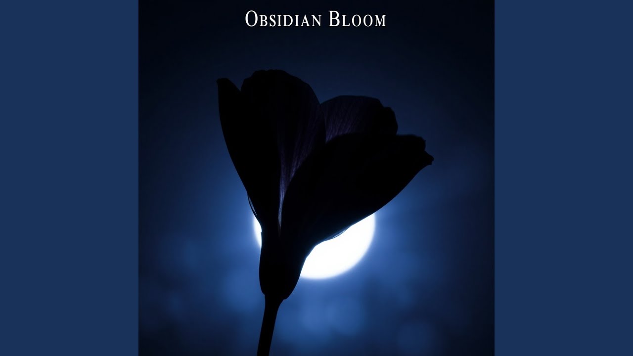 Obsidian Bloom