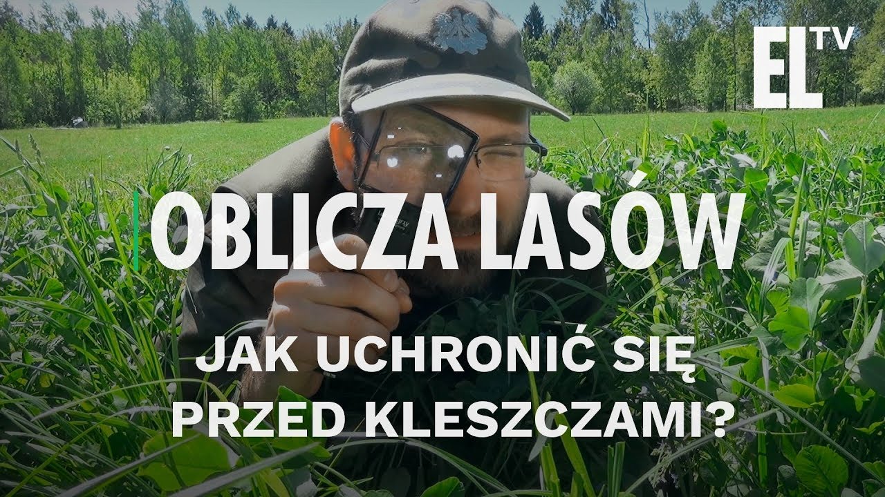 Jak uchronić się przed kleszczami? | Oblicza las&oacute;w #25