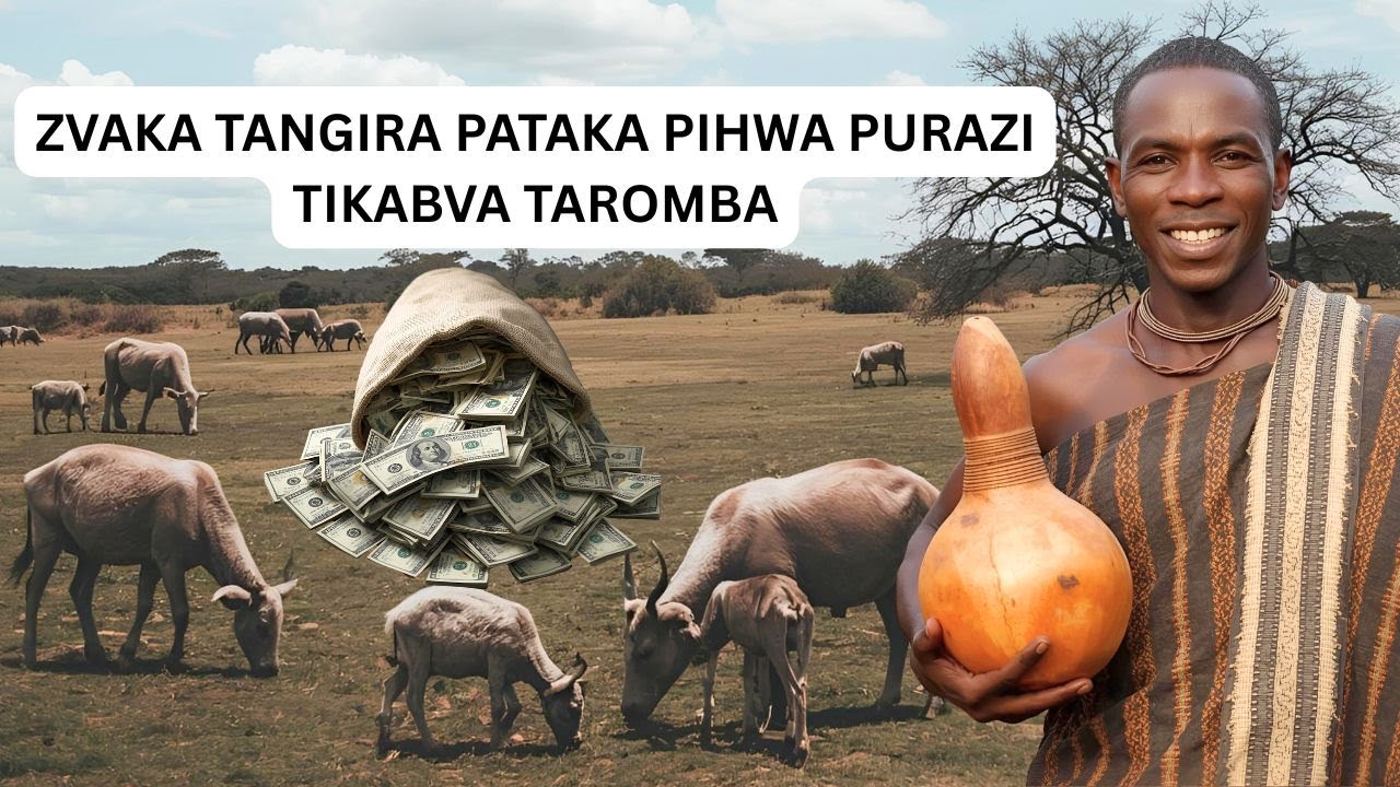 ZVAKA TANGIRA PATAKA PIHWA PURAZI TIKABVA TAROMBA