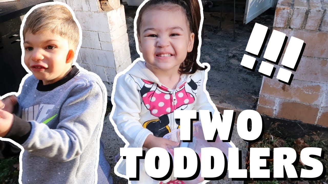 Two toddlers playing together