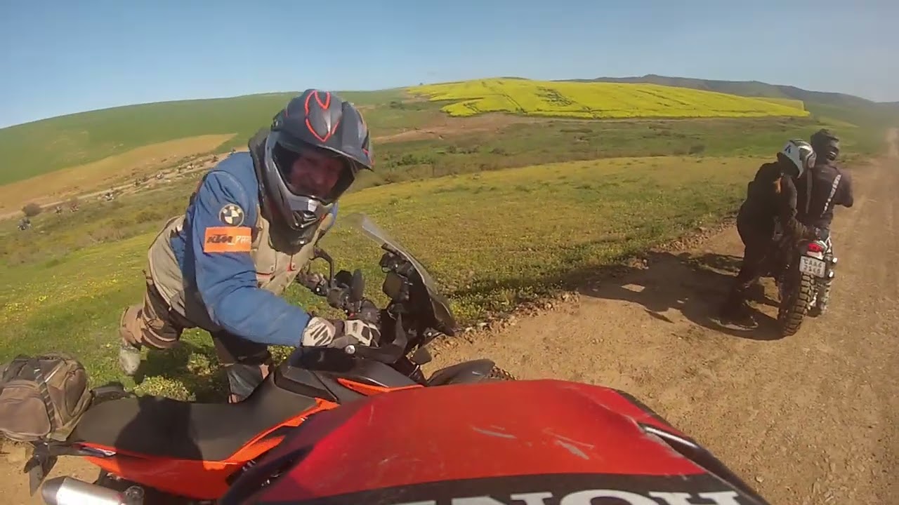 canola  ride